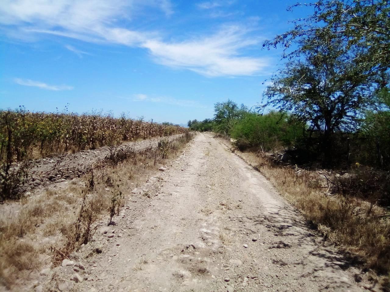 Rehabilitan Calles Y Caminos Saca Cosechas En Elota H Ayuntamiento